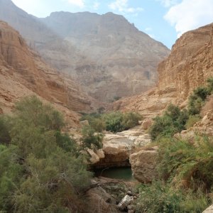 Wadi Arugot, Ein Gedi