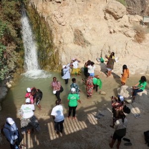 Wadi David, Ein Gedi