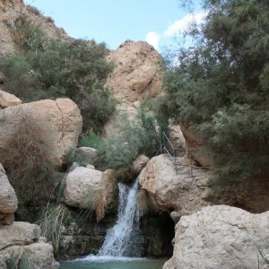 Wadi David, Ein Gedi