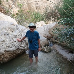 Wadi David, Ein Gedi