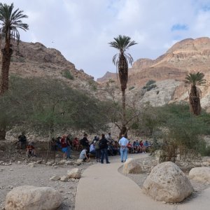 Wadi David, Ein Gedi