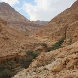 Wadi Arugot, Ein Gedi