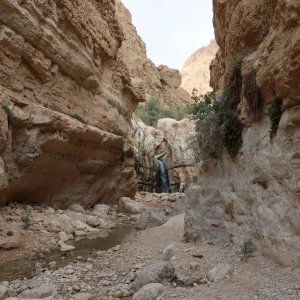 Wadi Arugot, Ein Gedi