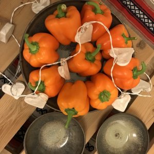 Peppers, Paran