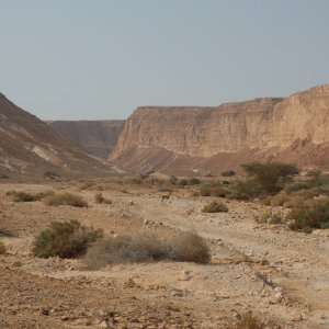 Wadi Barak Hike, Paran