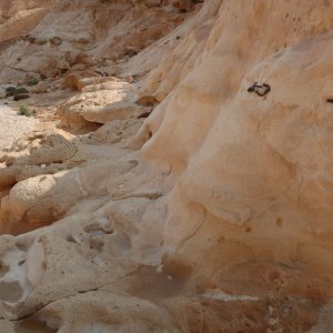 Wadi Barak Hike, Paran