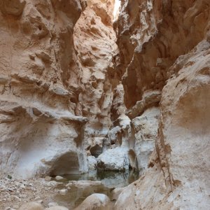 Wadi Barak Hike, Paran