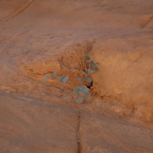 Timna Park, near Eilat