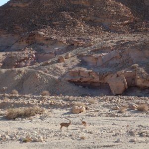 Timna Park, near Eilat