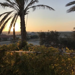 Desert Home