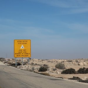 Beware of Camels