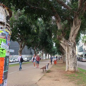 Rothschild Boulevard, Tel Aviv