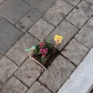 Tel Aviv, Neve Tzedek
