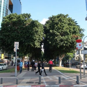 Tel Aviv