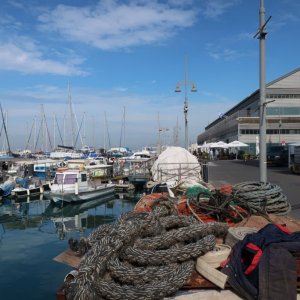 Jaffa Port