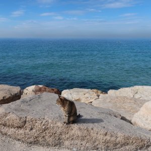 Tel Aviv Beach