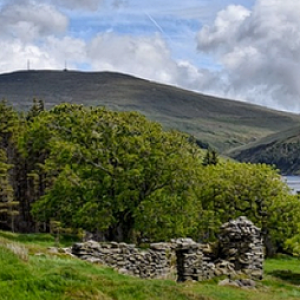 Isle of Man