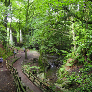 Groudle Glen