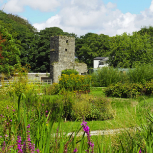 Rushen Abbey