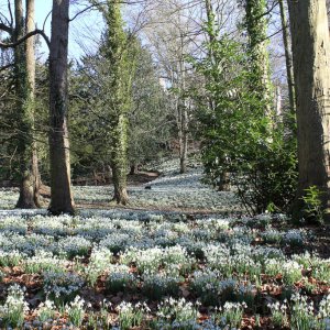 The Cotswolds - Rococo Gardens