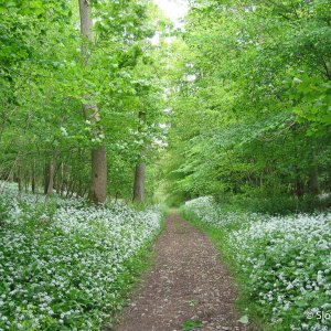 The Cotswolds - Sapperton