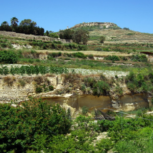Ghasri Valley