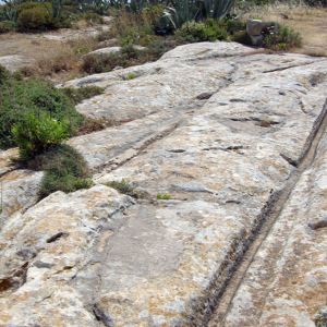 Cart ruts