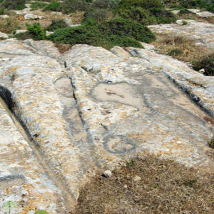 Cart ruts, Ta' Cenc headland.png