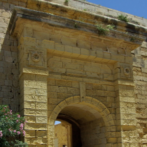 Gateway into the Citadel