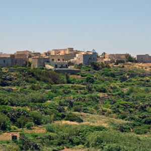 Zebbug