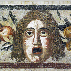 Roman Domus Museum - mosaic