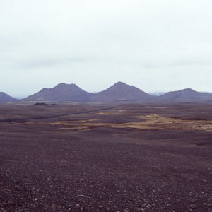 Ring Road