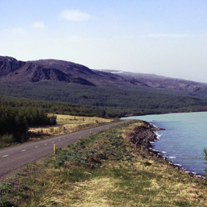 Highway 931