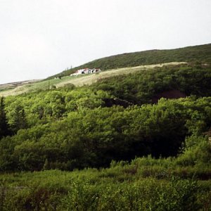 Bölti Farm