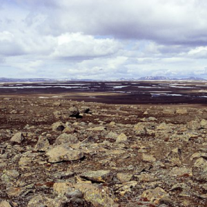 The barren interior plateau