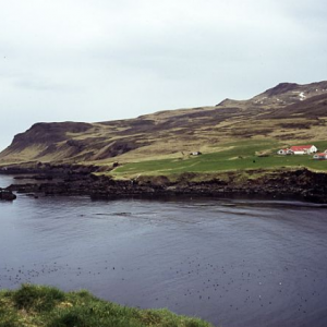 Hafnarbjarg