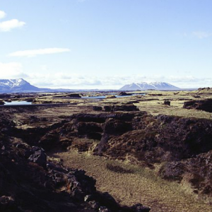 Lake Myvatn