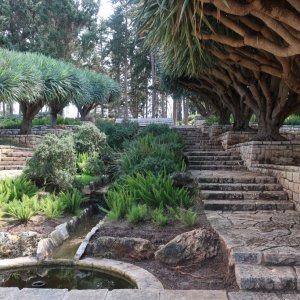 Ramat HaNadiv