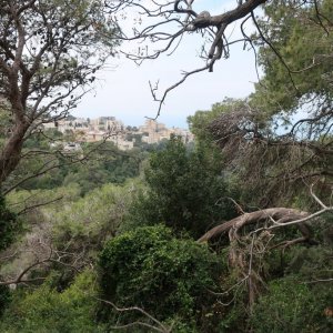Wadi Si'ach