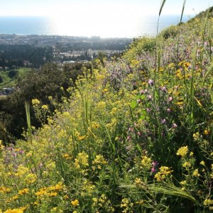Haifa Trail - Wadi Siah