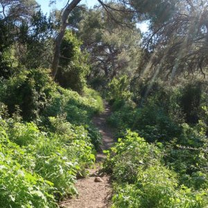 Haifa Trail - Wadi Siah
