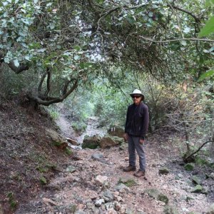 Haifa Trail - Wadi Siah