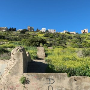 Haifa Trail - Wadi Siah