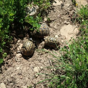 Hiking near Nazareth