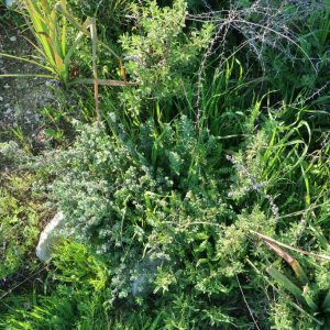Hiking near Nazareth