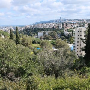 View from Carmel Center