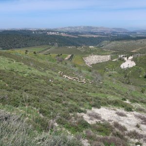 Hike from Jish