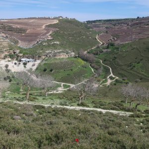 Hike from Jish