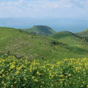 View of Sussita (Hippos)