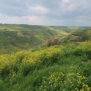 Ein Keshatot